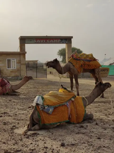 Государственный заповедник Desert National Park: Savi Camps Jaisalmer