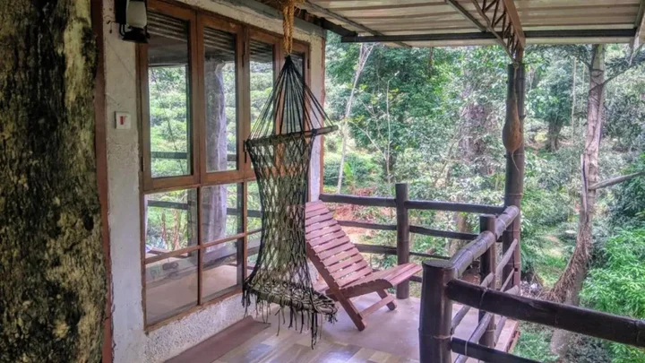 Муннар: Jungle Jive Tree House Munnar
