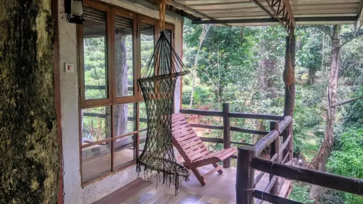 Муннар: Jungle Jive Tree House Munnar