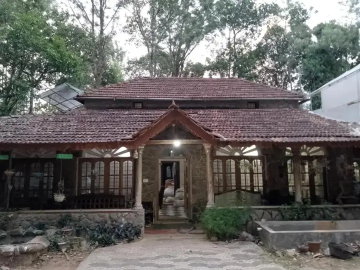Jungle Jive Tree House Munnar — фото 3