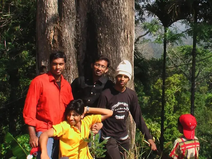 Муннар: Jungle Jive Tree House Munnar