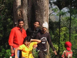 Муннар: Jungle Jive Tree House Munnar