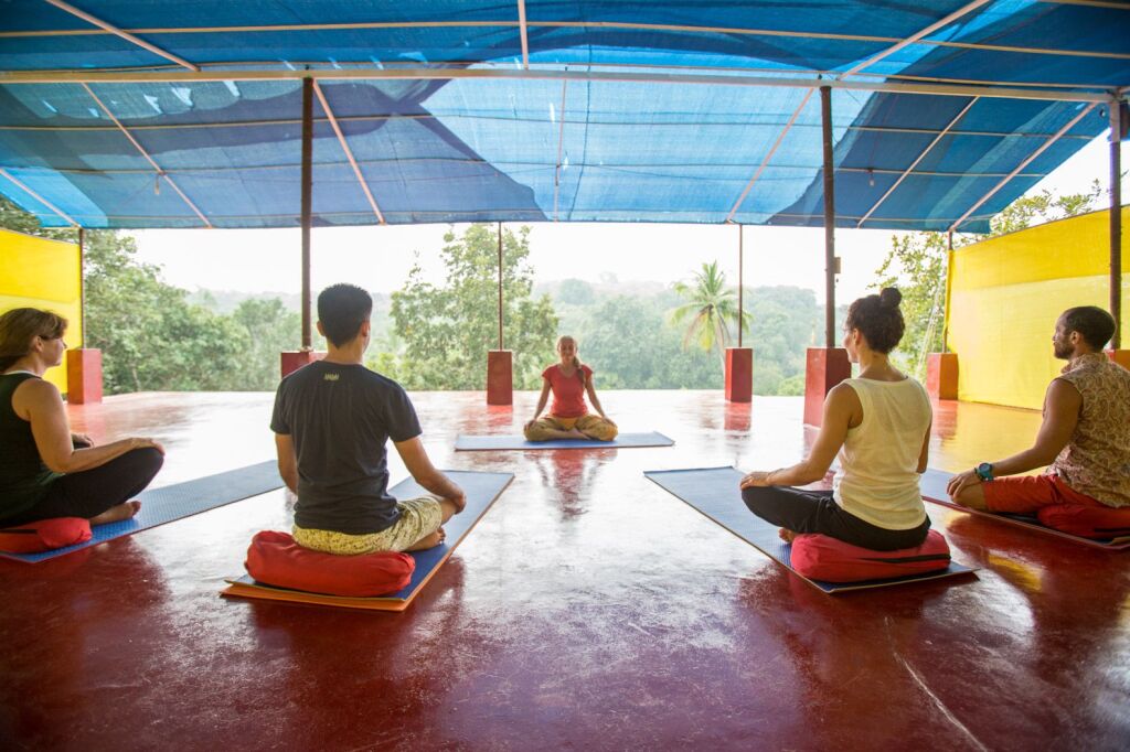 Южный Гоа: Отель Blue Planet Wellness