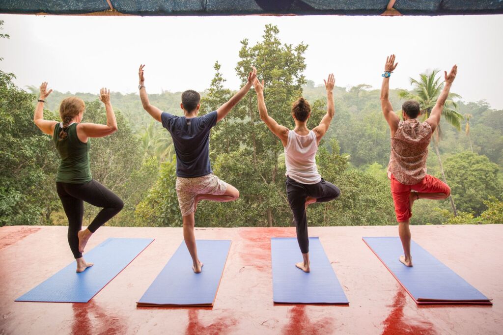 Южный Гоа: Отель Blue Planet Wellness