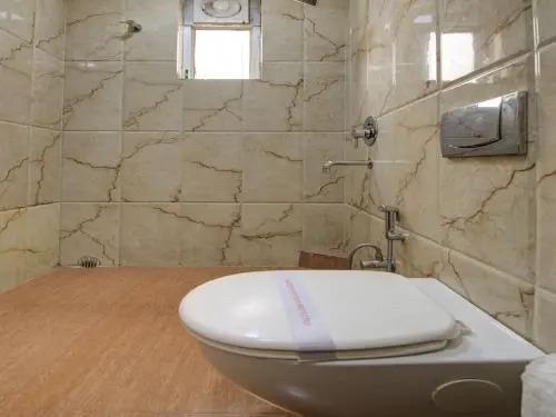 Данапур: Vatika Premier Hotel