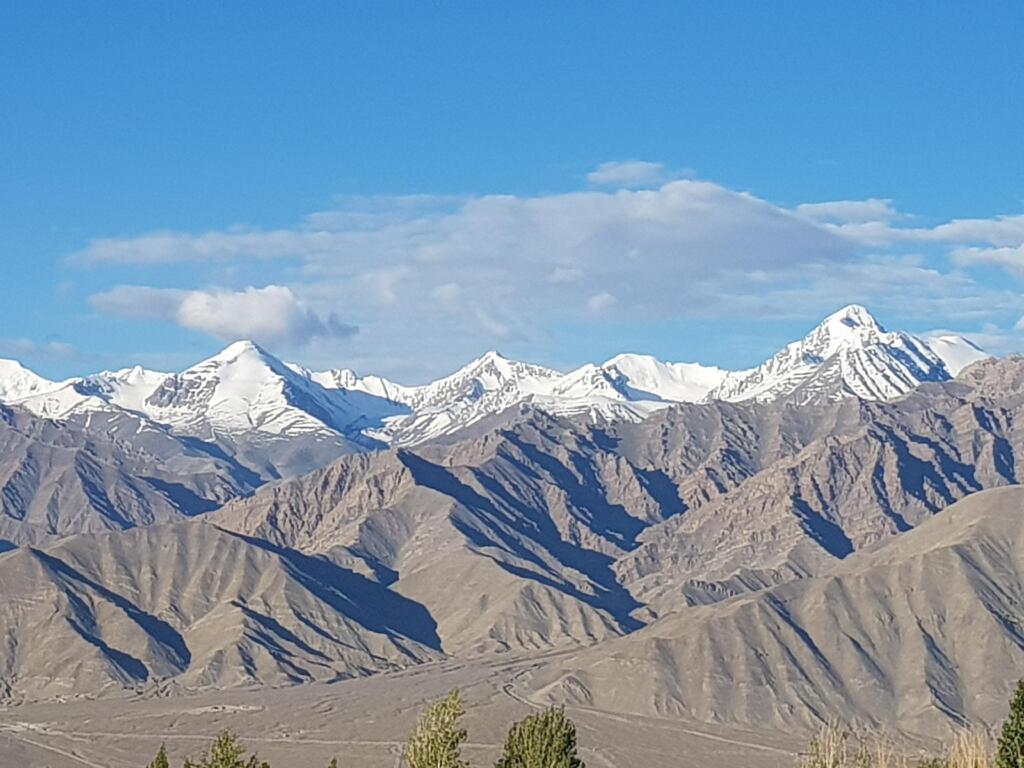 Ladakh Himalayan Retreat — фото 2