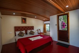 Аллеппи: Coco HouseBoat