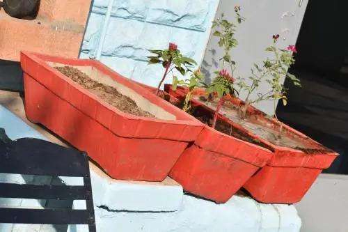 Джодхпур: Crashpad Hostotel Jodhpur