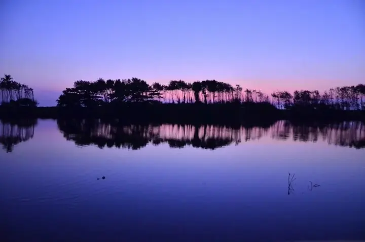 Эдава: Resort Serene