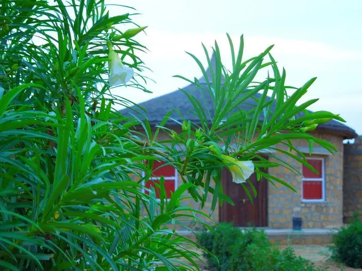 Государственный заповедник Desert National Park: Devi Desert Resort and Retreat