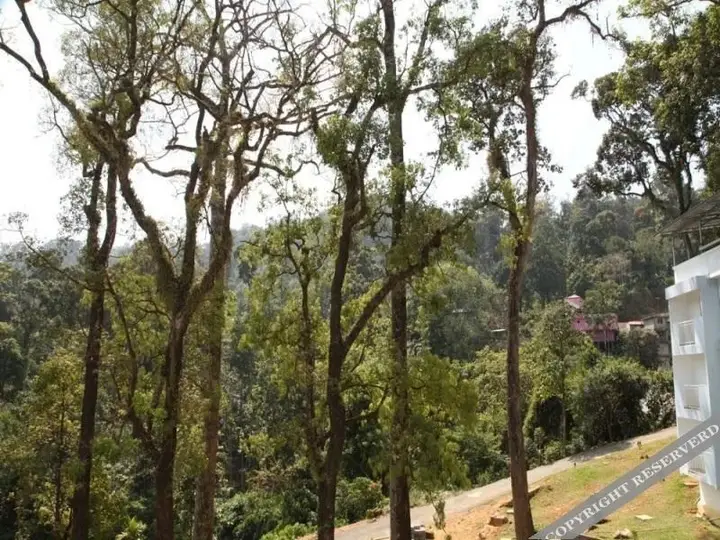 Munnar Black Forest Resort — фото 4