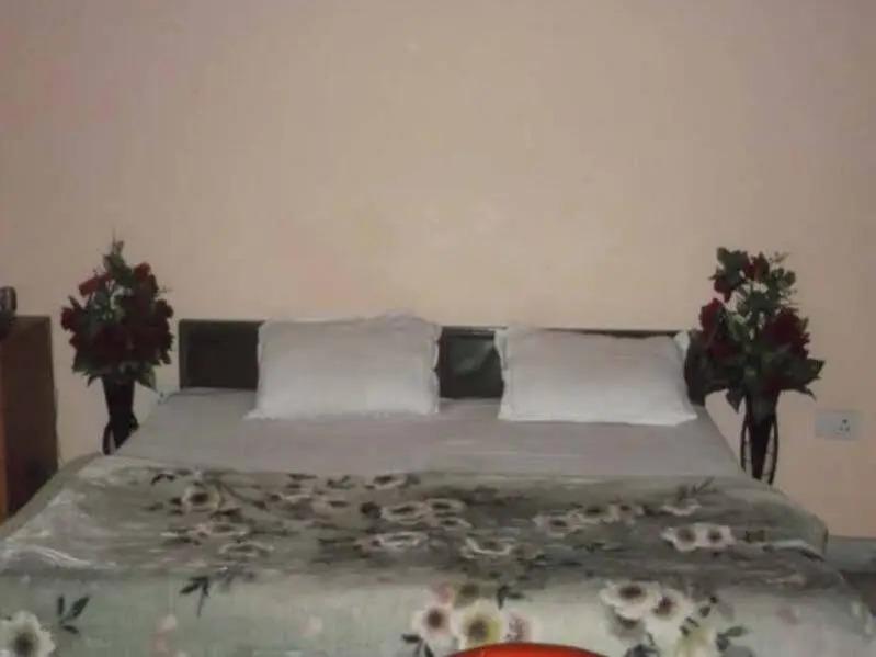Лакхнау: Excel Paradise Inn