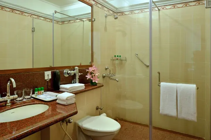 Бангалор: JP Cordial Hotel