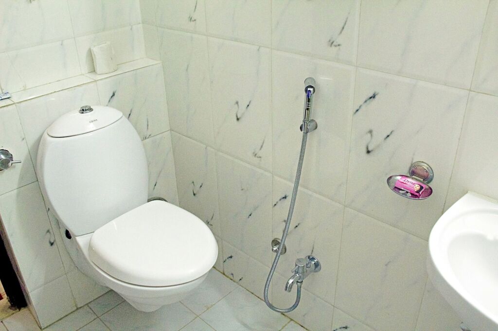 Удаипур: Hotel Gaj Vilas