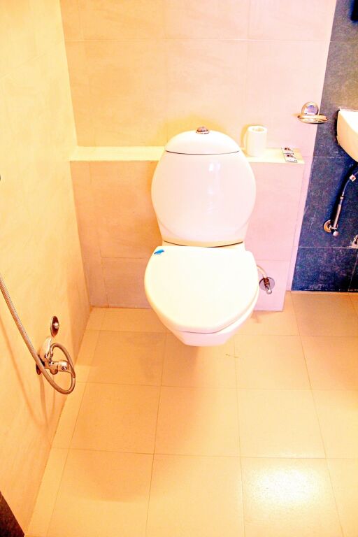 Удаипур: Hotel Gaj Vilas