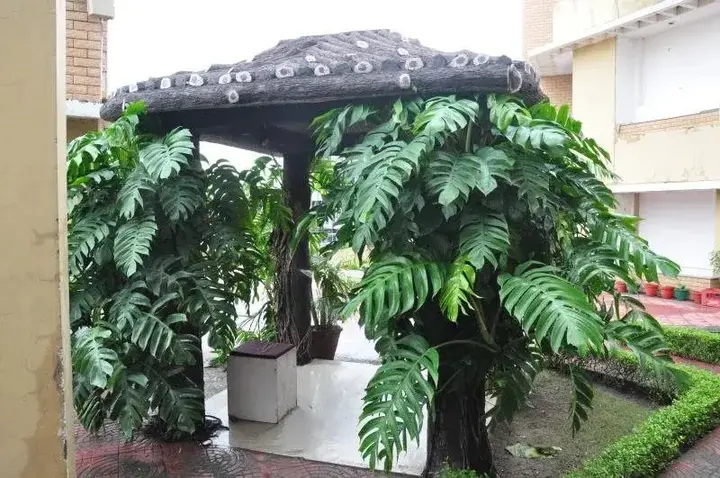 Барейлли: Hotel Pancham Continental
