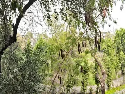 Нью-Дели: Haveli Hauz Khas