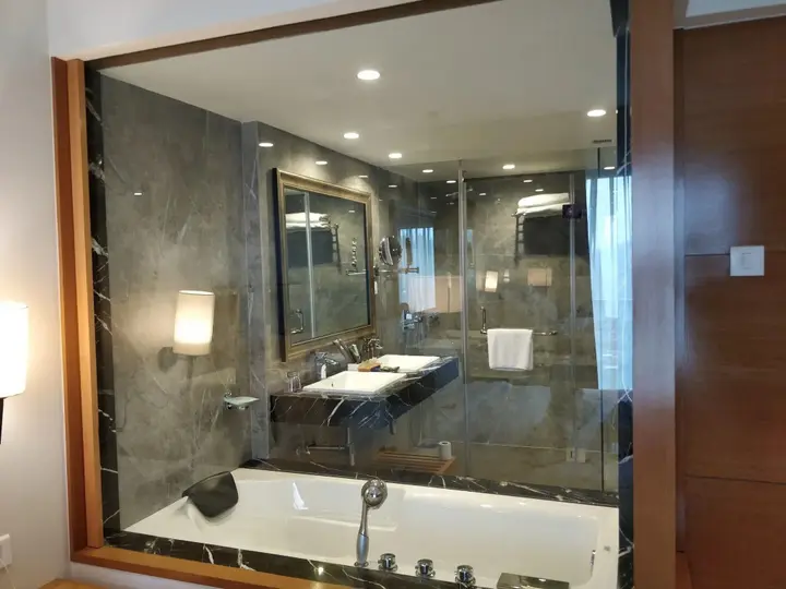 Хандала: Novotel Imagica Khopoli Hotel