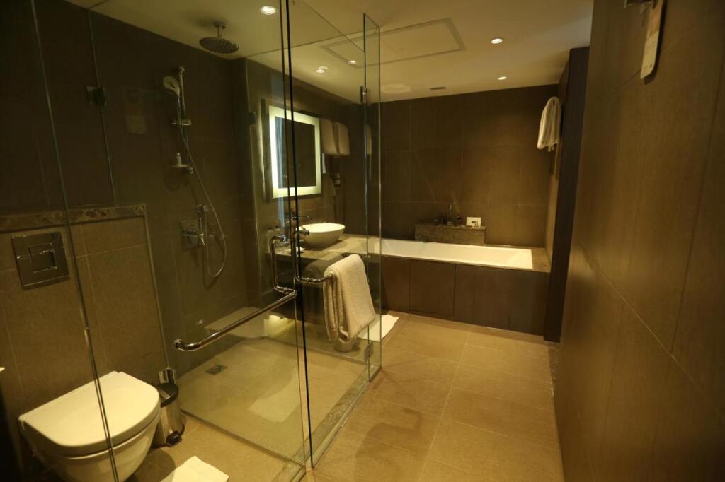 Нью-Дели: Novotel New Delhi Aerocity Hotel