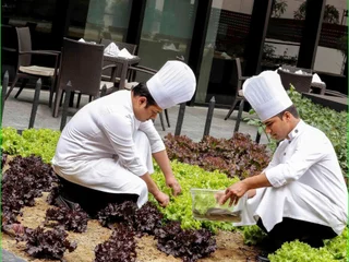 Нью-Дели: Pullman New Delhi Aerocity Hotel