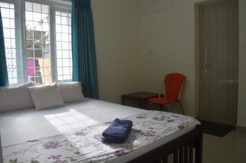 Коччи: The Pod Cochin Homestay