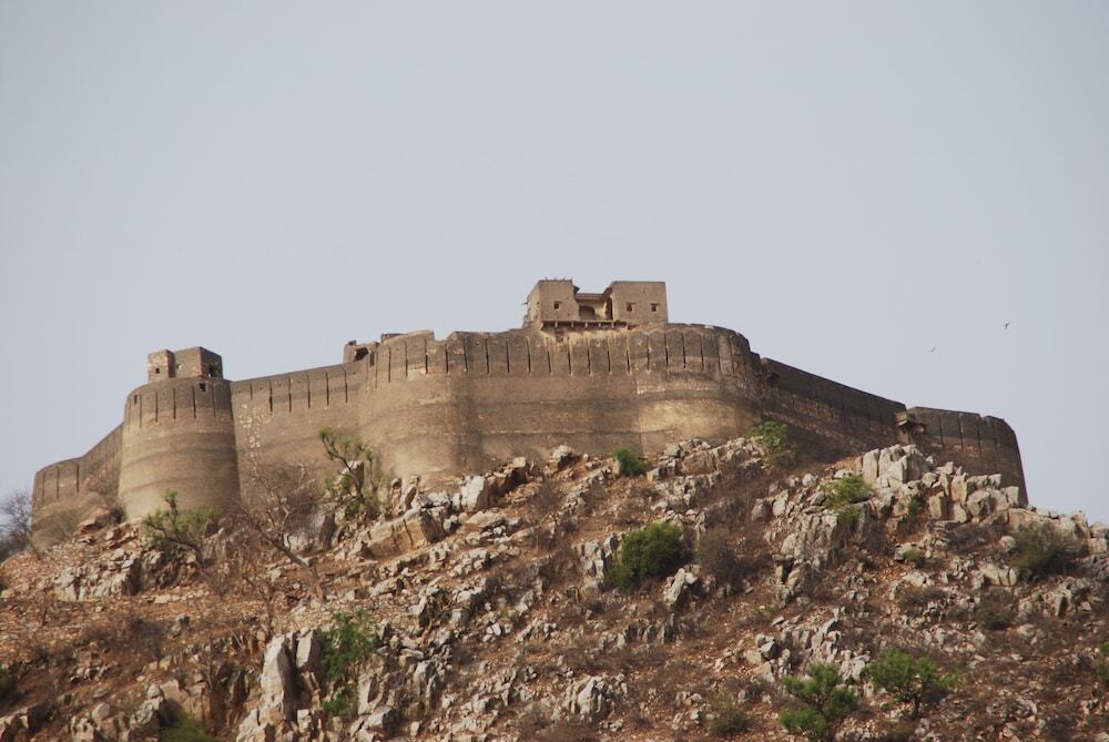 Hotel Dhula Garh — фото 3
