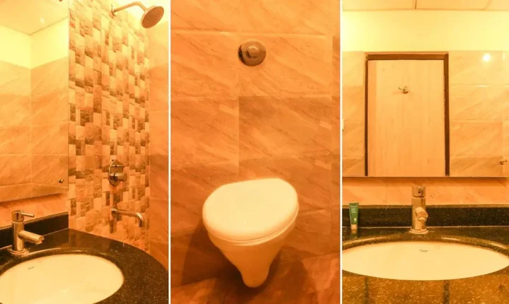 Варанаси: Hotel Janki International