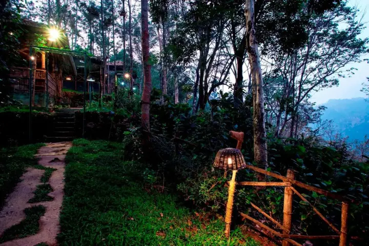 Муннар: Season7 The Nature Resort - Munnar