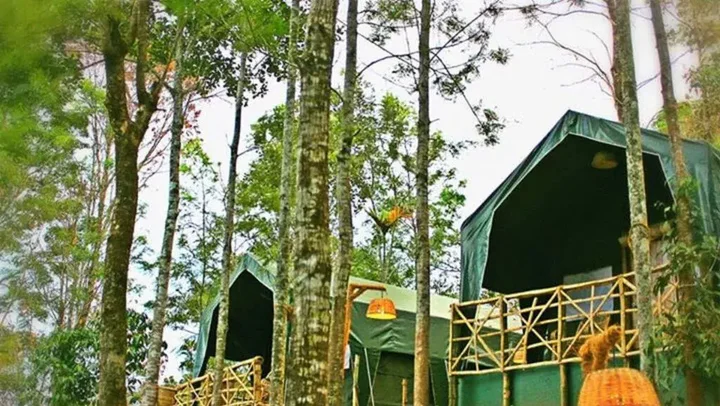 Муннар: Season7 The Nature Resort - Munnar