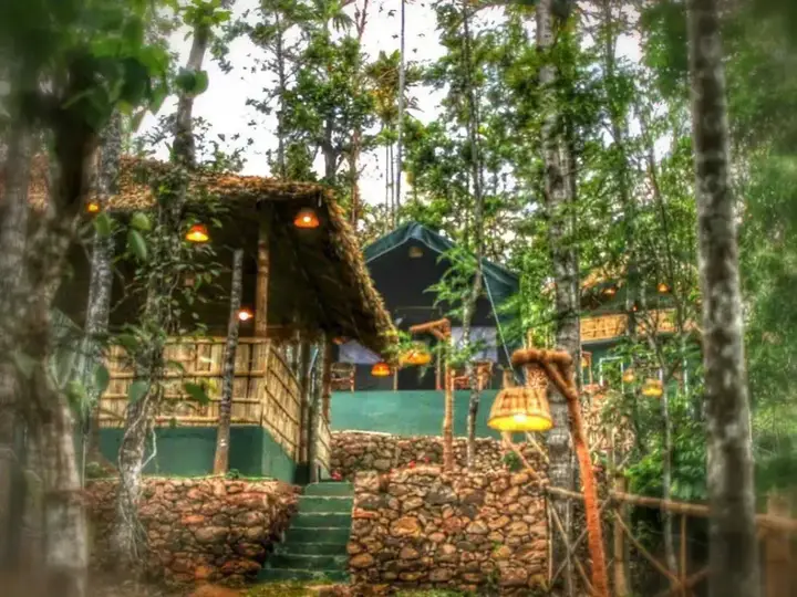 Season7 The Nature Resort - Munnar — фото 6