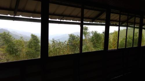 Куттикканам: Tiger view villa