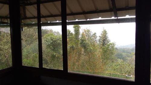 Куттикканам: Tiger view villa