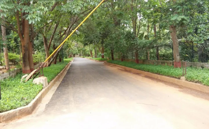 Chikkajala: The Windflower Prakruthi - Bangalore Resort