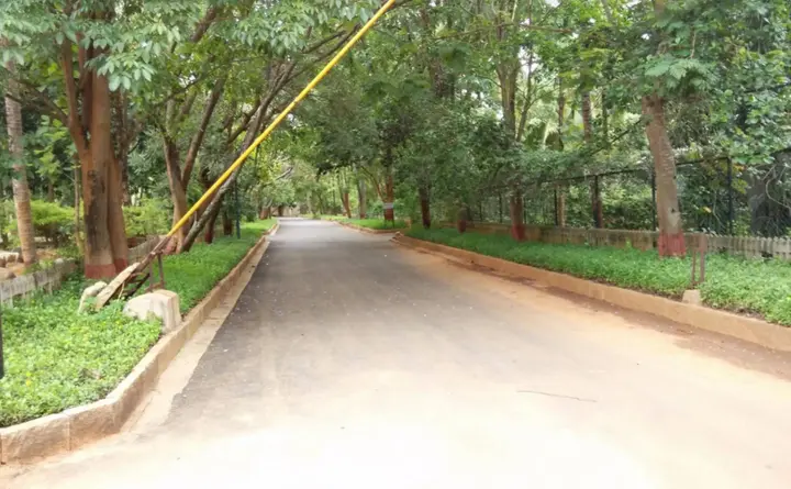 Chikkajala: The Windflower Prakruthi - Bangalore Resort
