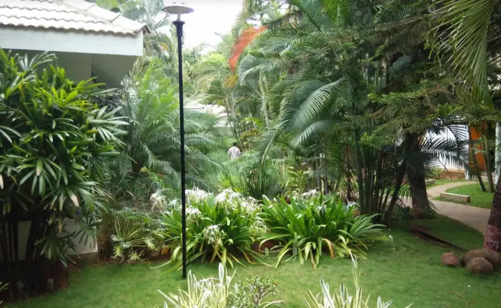 Chikkajala: The Windflower Prakruthi - Bangalore Resort