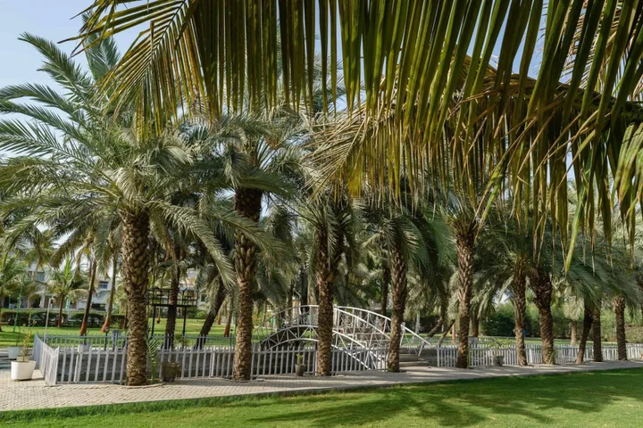 Гандидхам: Quality Inn Palms