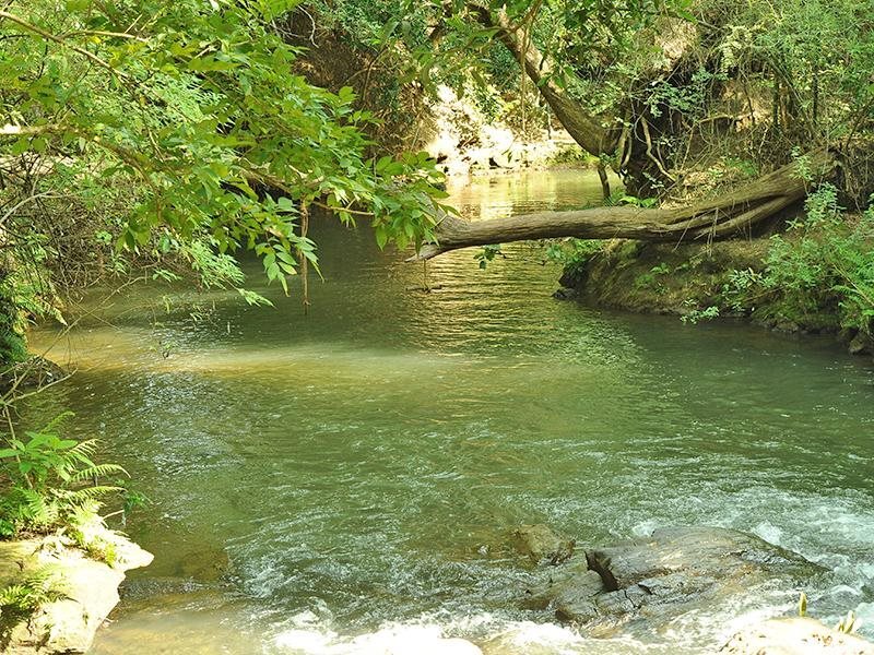 Ути: River Valley Resorts