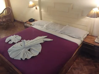 Кодайканал: Goldan Parks Inn