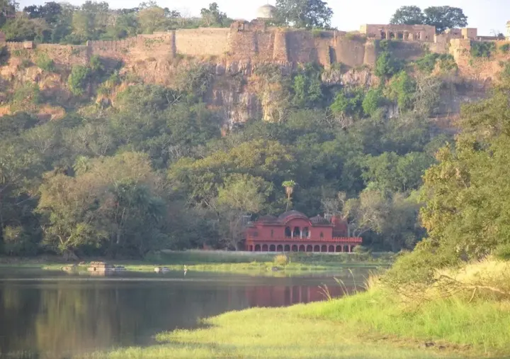 Савай-Мадхопур: Ranthambore Tiger Home
