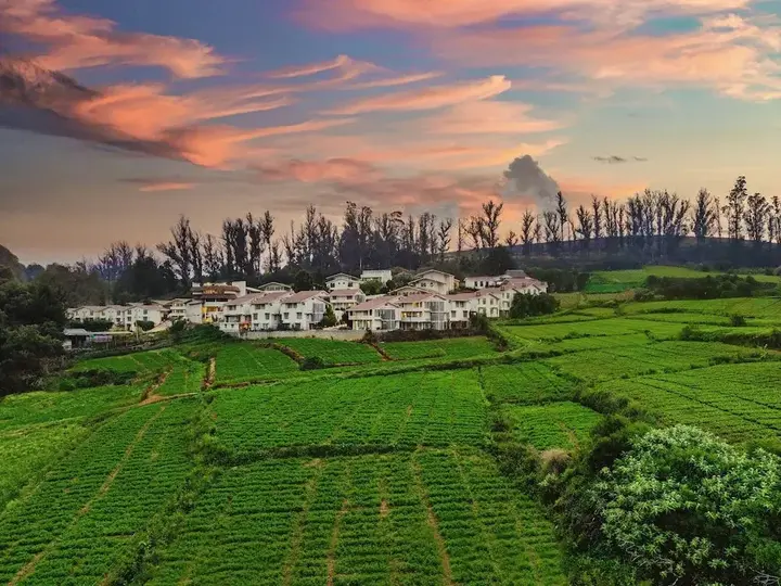 Ути: La Flora Amberley Resort