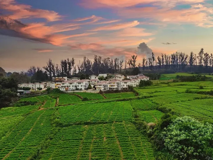 Ути: La Flora Amberley Resort
