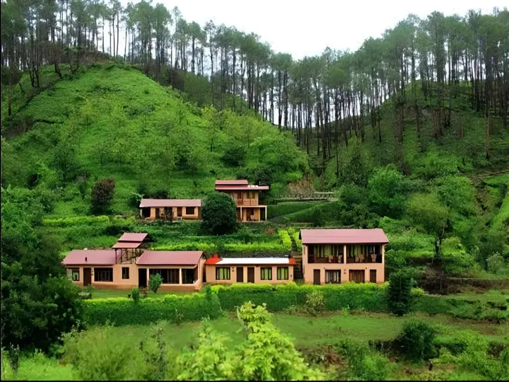 Раникхет: Perfectly Located Resort amidst Majkhali Woods