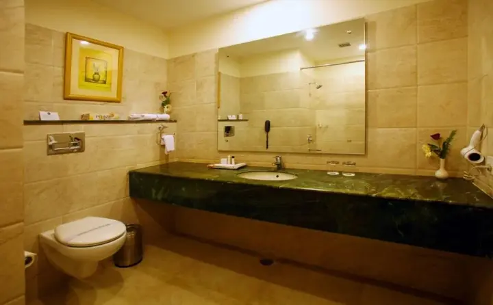 Джаландхар: Continent Hotel Nakodar
