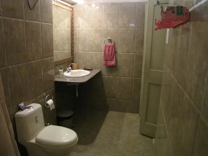 Варанаси: Granny's Inn