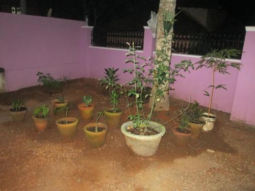 Тируванантапурам: Aabhaa Homestay in Trivandrum
