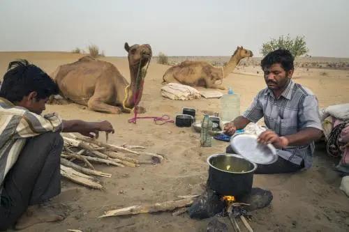 Джайсалмер: Hostel Fort Side Jaisalmer