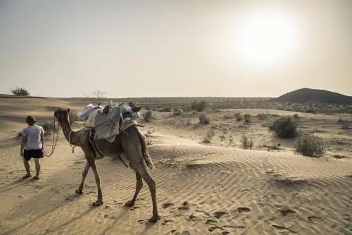 Джайсалмер: Hostel Fort Side Jaisalmer