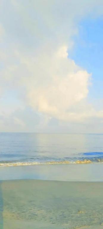 Cherthala: Marari Arthunkal Beach Villa