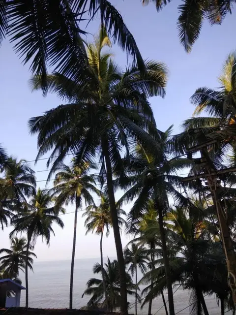 Goroomgo Om Ganesh Naik Cliff Side Guest House Goa — фото 4