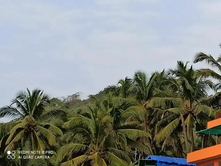 Goroomgo Om Ganesh Naik Cliff Side Guest House Goa — фото 1